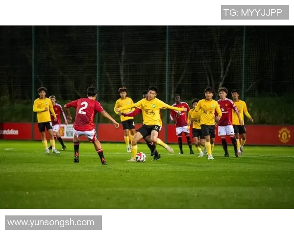 香港足球明星队草蜢球员的辉煌历程与未来展望 香港足球明星队草蜢球员的辉煌历程与未来展望