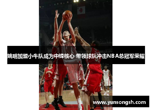 姚明加盟小牛队成为中锋核心 带领球队冲击NBA总冠军荣耀
