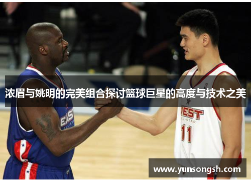 浓眉与姚明的完美组合探讨篮球巨星的高度与技术之美